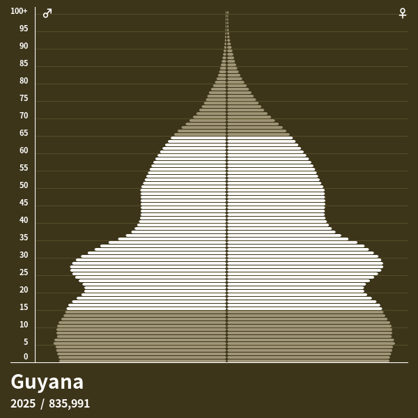 Bevölkerungspyramide von Guyana im Jahr 2024 Bevölkerungspyramiden