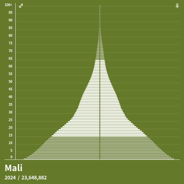 Bevölkerungspyramide von Mali im Jahr 2024 Bevölkerungspyramiden