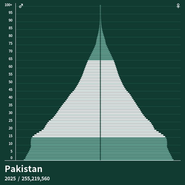 Bevölkerungspyramide von Pakistan im Jahr 2024 Bevölkerungspyramiden