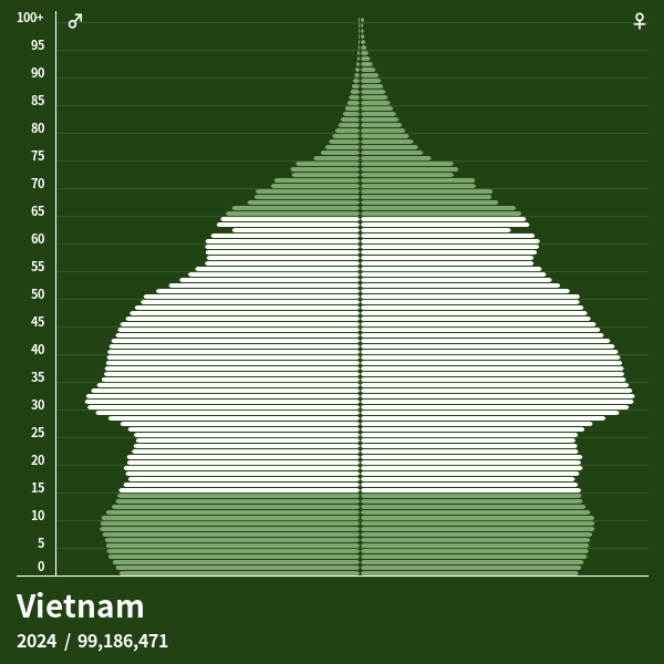 Bevölkerungspyramide von Vietnam im Jahr 2024 Bevölkerungspyramiden
