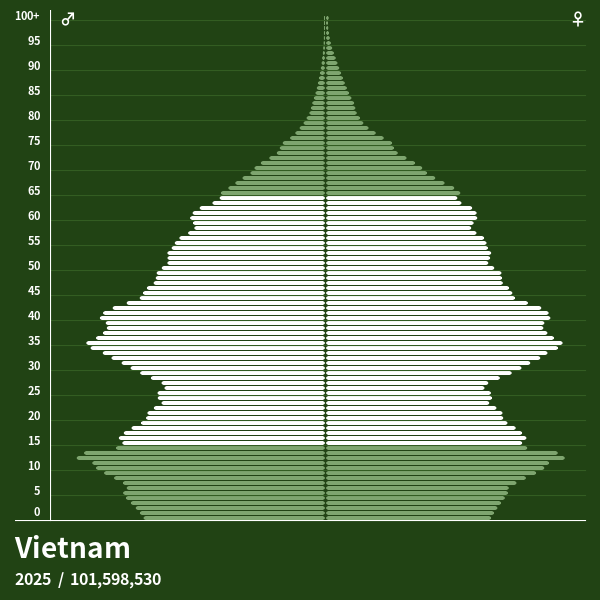 Bevölkerungspyramide von Vietnam im Jahr 2024 Bevölkerungspyramiden