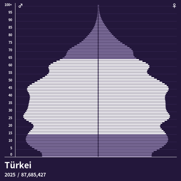 Bevölkerungspyramide von Türkei im Jahr 2024 Bevölkerungspyramiden