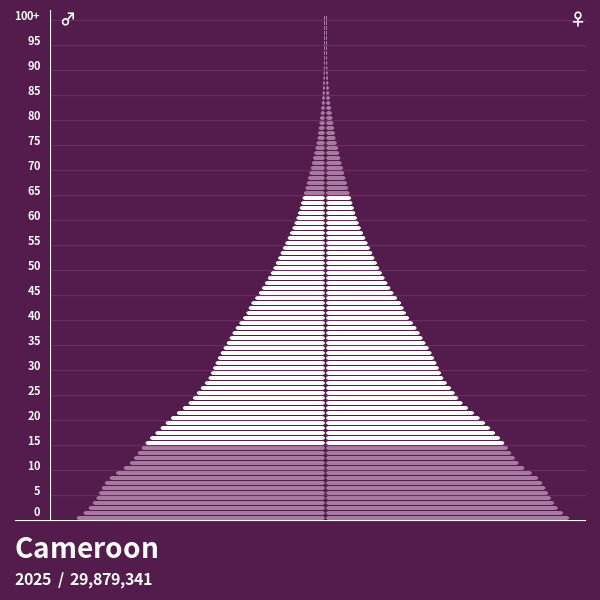 Population Pyramid of Cameroon at 2024 Population Pyramids
