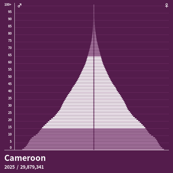 Population Pyramid of Cameroon at 2024 Population Pyramids