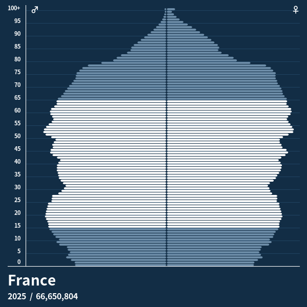 Population Pyramid of France at 2024 Population Pyramids