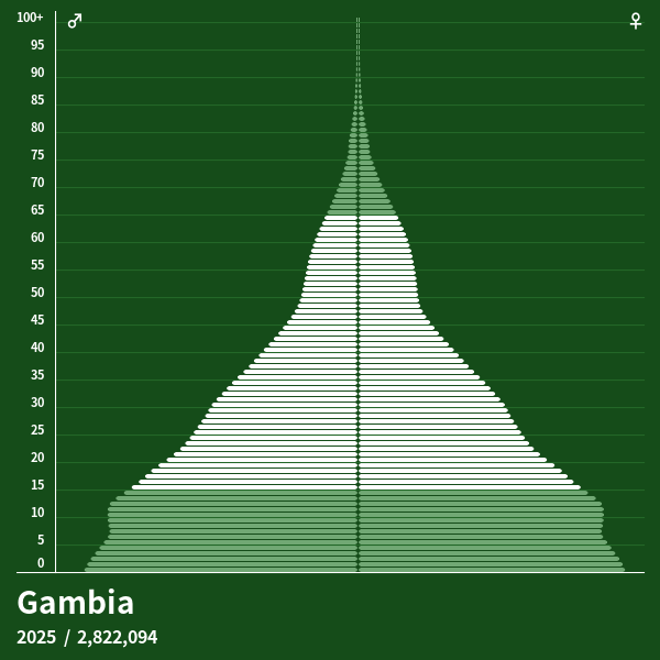 Population Pyramid of Gambia at 2025 - Population Pyramids