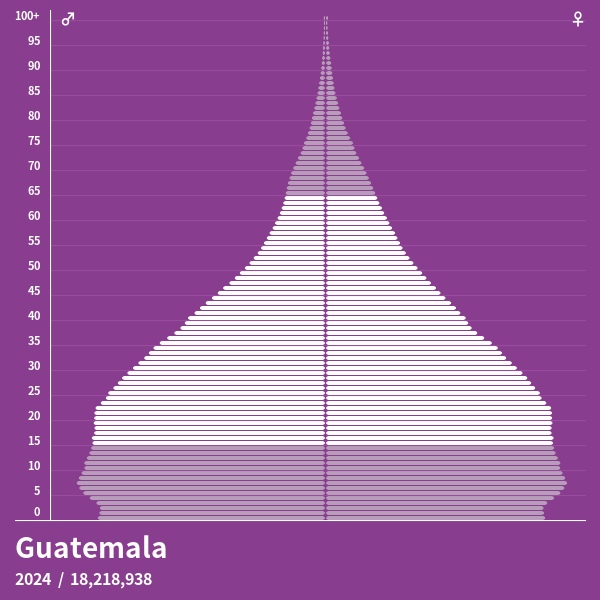 Population Pyramid of Guatemala at 2024 Population Pyramids