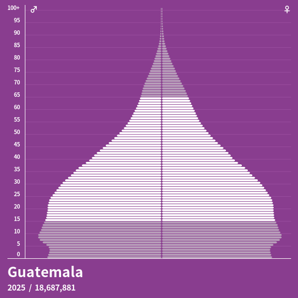 Population Pyramid of Guatemala at 2024 Population Pyramids