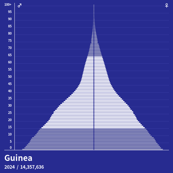 Population Pyramid of Guinea at 2024 Population Pyramids