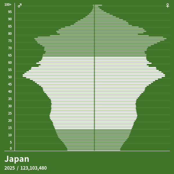 Population Pyramid of Japan at 2024 Population Pyramids