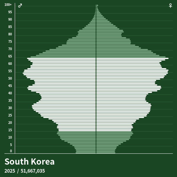 Population Pyramid of South Korea at 2024 Population Pyramids