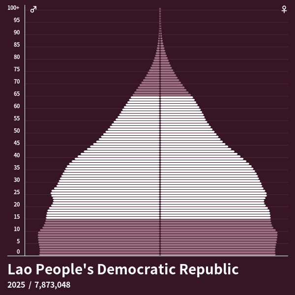 Population Pyramid of Lao People's Democratic Republic at 2024