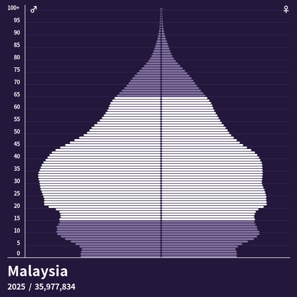 Population Pyramid of Malaysia at 2021 - Population Pyramids