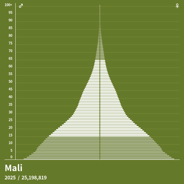 Population Pyramid of Mali at 2024 Population Pyramids