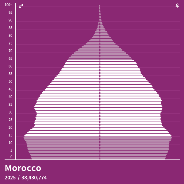 Population Pyramid of Morocco at 2024 Population Pyramids