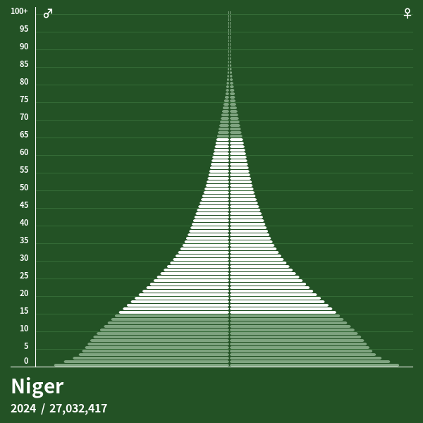 Niger Population Pyramid