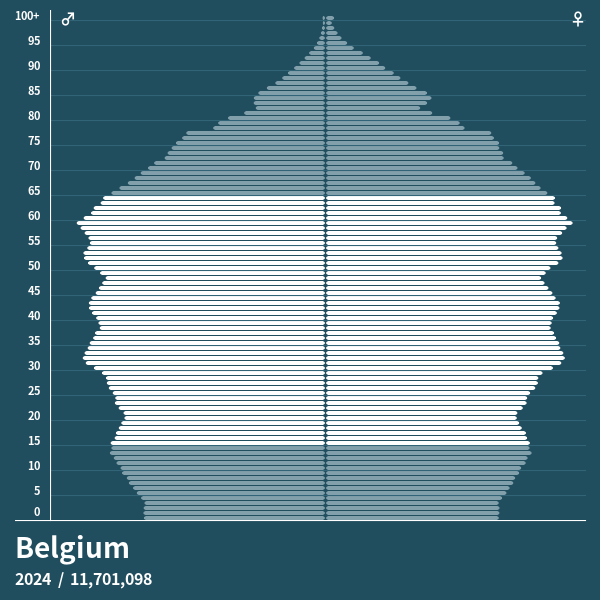 Population Pyramid of Belgium at 2024 Population Pyramids