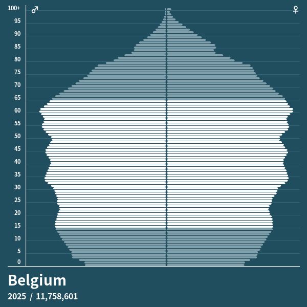 Population Pyramid of Belgium at 2021 - Population Pyramids