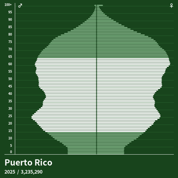 Population Pyramid of Puerto Rico at 2025 Population Pyramids