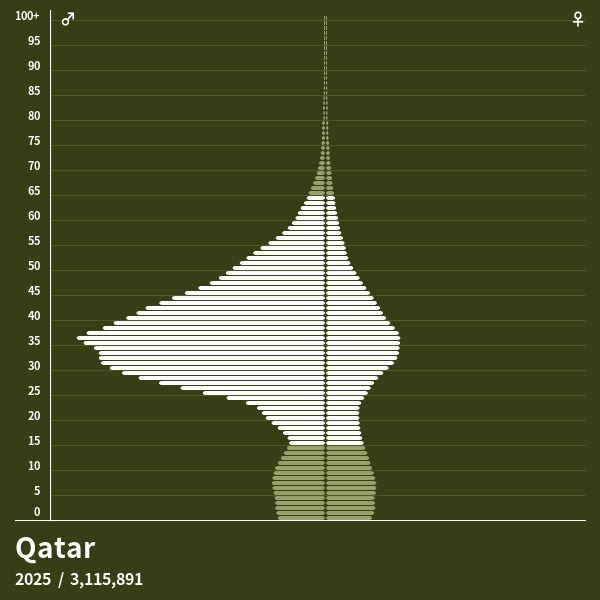 Population Pyramid of Qatar at 2024 Population Pyramids