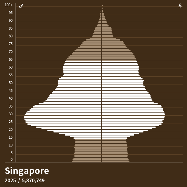 Population Pyramid of Singapore at 2024 Population Pyramids