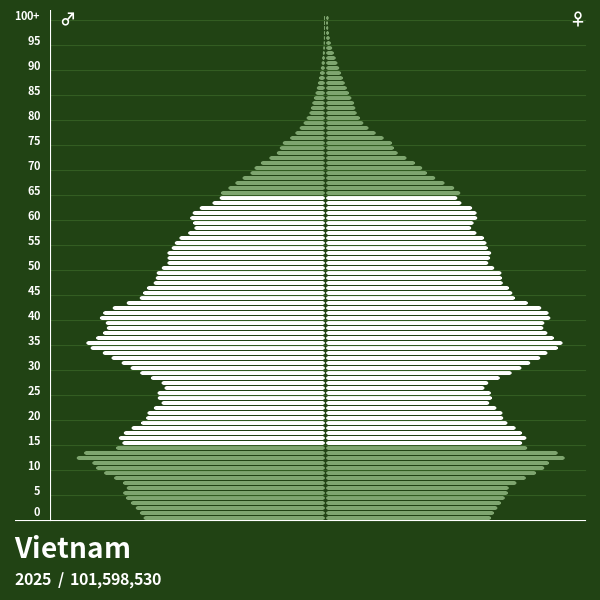 Population Pyramid of Vietnam at 2025 Population Pyramids