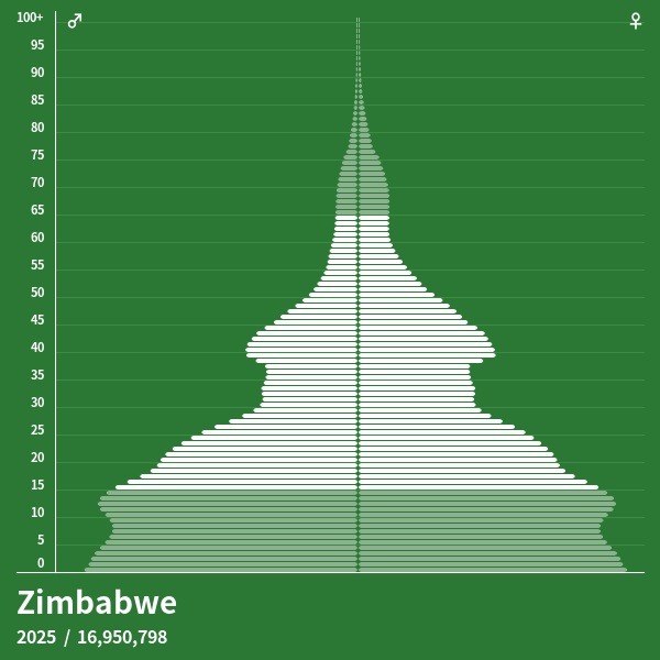 examples-of-different-types-of-population-pyramids-download