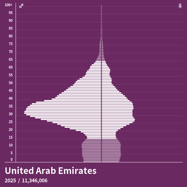 Population Pyramid of United Arab Emirates at 2024 Population Pyramids