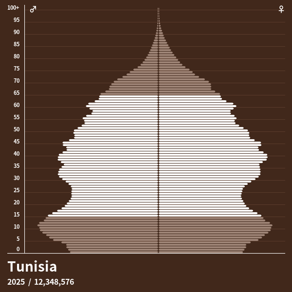 Population Pyramid of Tunisia at 2024 Population Pyramids