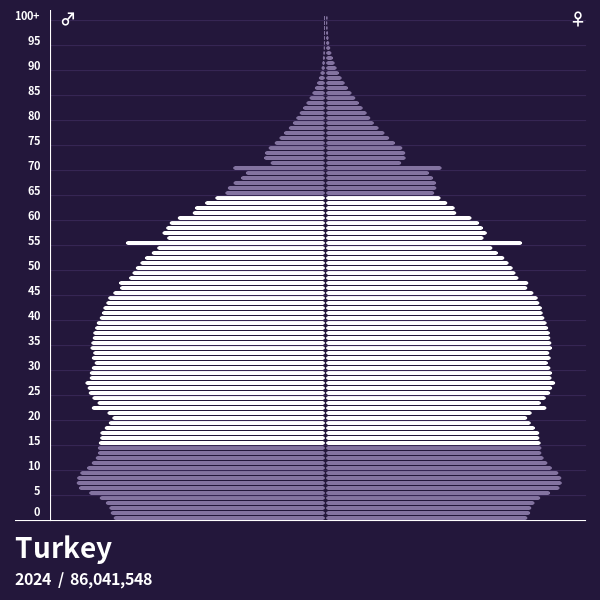 Population Pyramid of Turkey at 2024 Population Pyramids