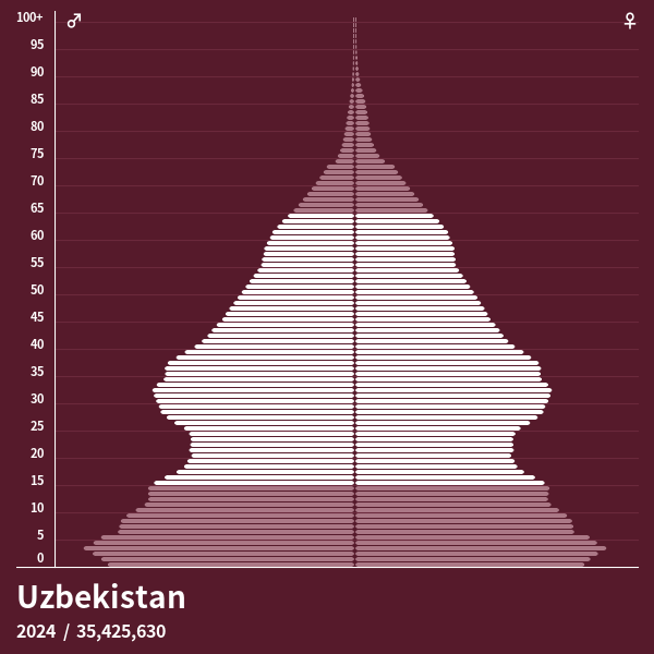 Population Pyramid of Uzbekistan at 2024 Population Pyramids