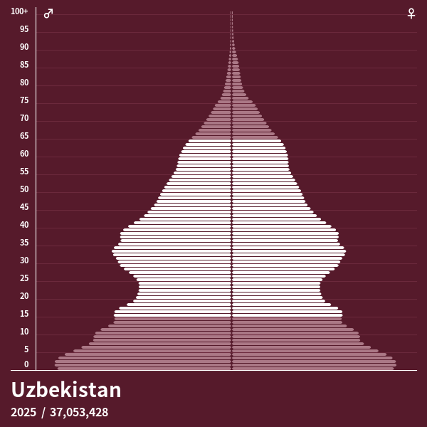 Population Pyramid of Uzbekistan at 2024 Population Pyramids