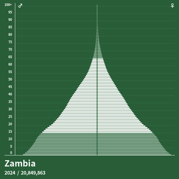 Population Pyramid of Zambia at 2023 Population Pyramids