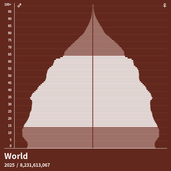 Population Pyramid Of The World 2023 Pelajaran