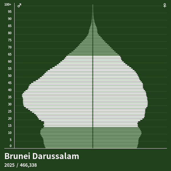 Population Pyramid of Brunei Darussalam at 2024 Population Pyramids