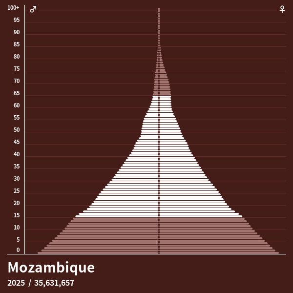 Pirámide de población de Mozambique en 2024 Pirámides de población