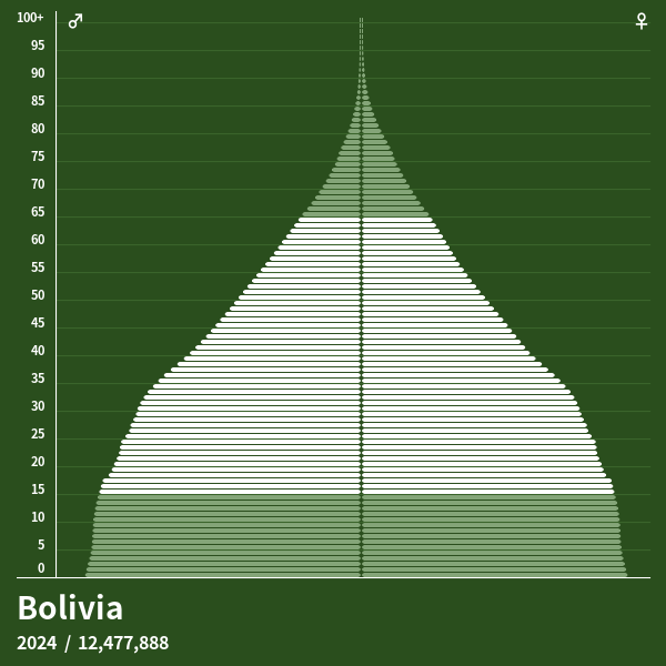 Pirámide de población de Bolivia en 2024 Pirámides de población