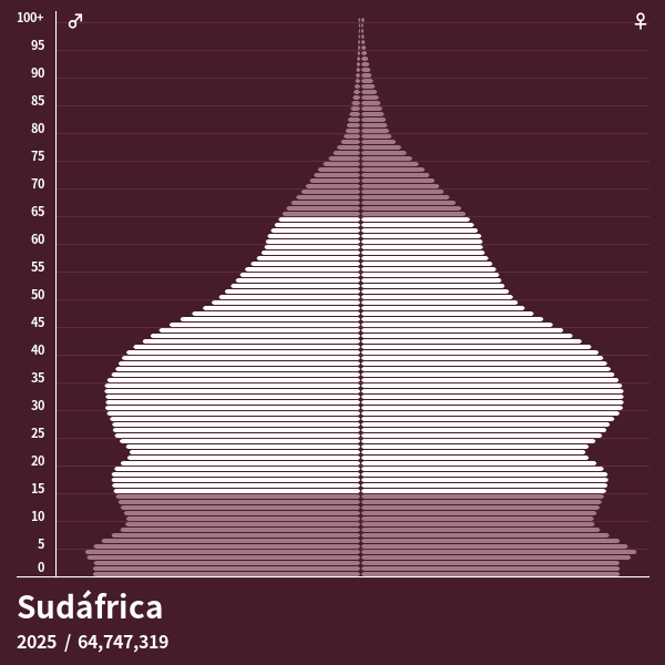 Pirámide de población de Sudáfrica en 2024 Pirámides de población