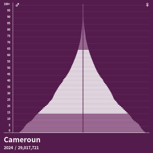 Pyramide de population de Cameroun 2024 Pyramides de population