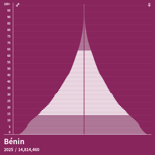 Pyramide de population de Bénin 2024 Pyramides de population