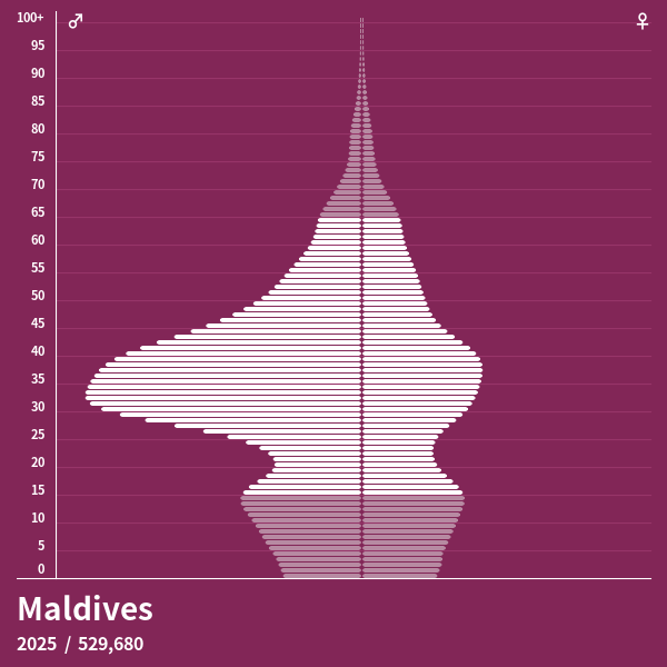 Pyramide de population de Maldives 2025 Pyramides de population