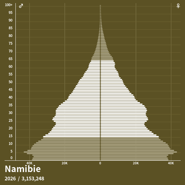 Pyramide de population de Namibie 2026 - Pyramides de population