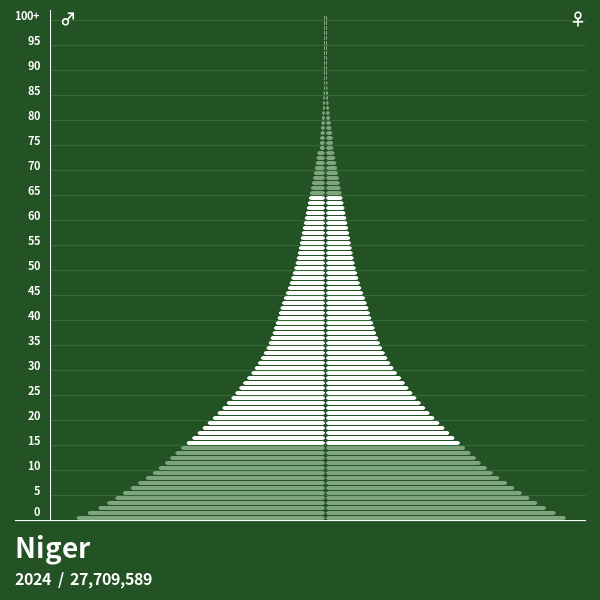Pyramide de population de Niger 2024 Pyramides de population