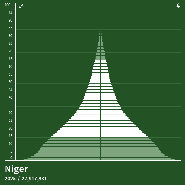 Pyramide de population de Niger 2025 Pyramides de population