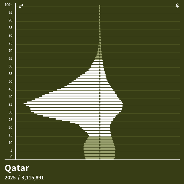 Pyramide de population de Qatar 2025 Pyramides de population