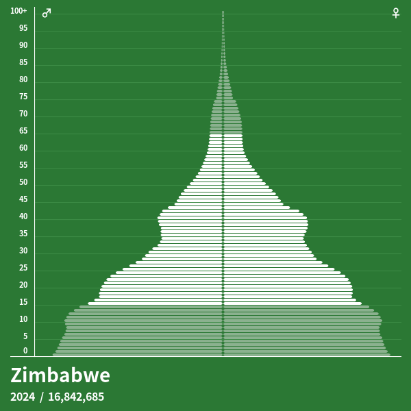 Pyramide de population de Zimbabwe 2024 Pyramides de population
