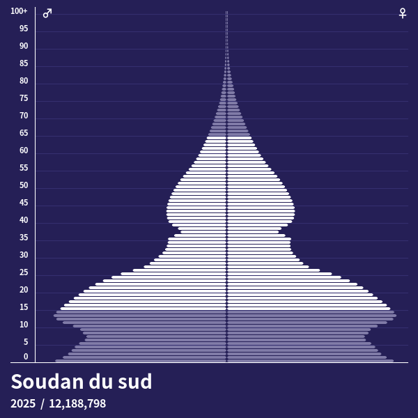 Pyramide de population de Soudan du sud 2024 Pyramides de population