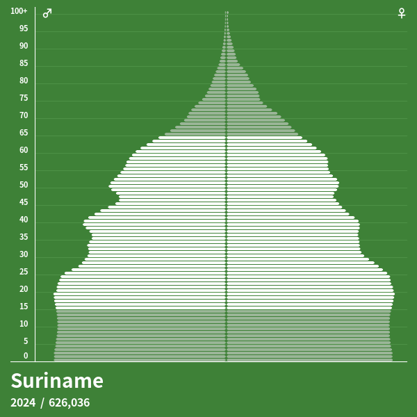 Pyramide de population de Suriname 2024 Pyramides de population