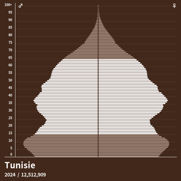 Pyramide de population de Tunisie 2024 Pyramides de population