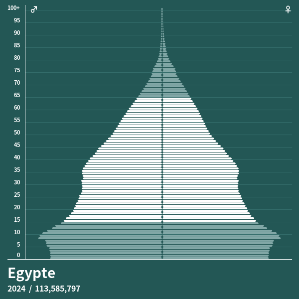 Pyramide de population de Egypte 2023 Pyramides de population